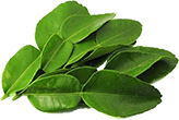 Dried Kafir Lime Leaves