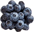 IQF Blueberries