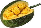 Jackfruit