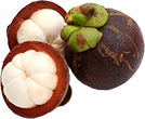 Mangosteen