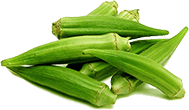 Okra