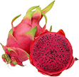 Red Dragon Fruit