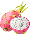 White Dragon Fruit